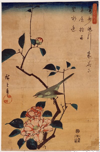 Tsubaki ni Uguisu (Kamelie und Buschrohrsänger) von Utagawa Hiroshige